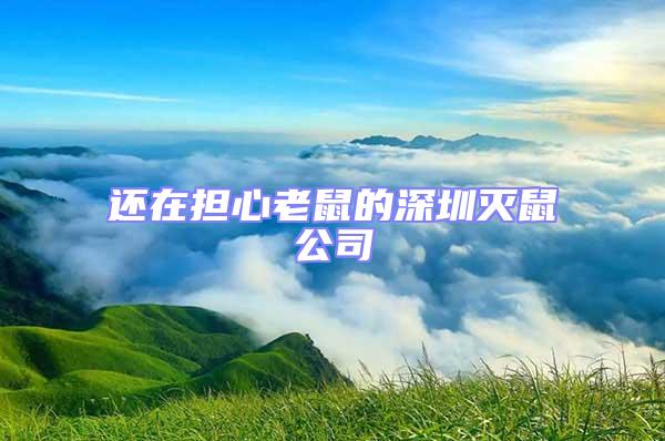 還在擔(dān)心老鼠的深圳滅鼠公司