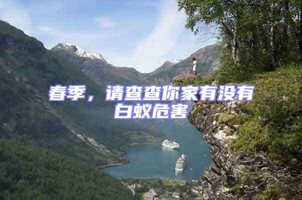 春季，請查查你家有沒有白蟻危害