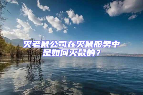 滅老鼠公司在滅鼠服務(wù)中是如何滅鼠的？