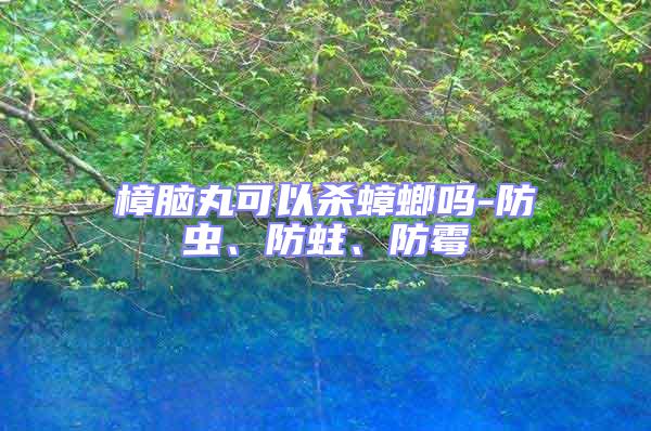 樟腦丸可以殺蟑螂嗎-防蟲、防蛀、防霉