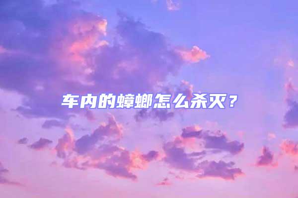 車(chē)內(nèi)的蟑螂怎么殺滅？