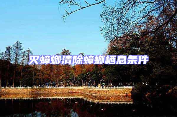 滅蟑螂清除蟑螂棲息條件