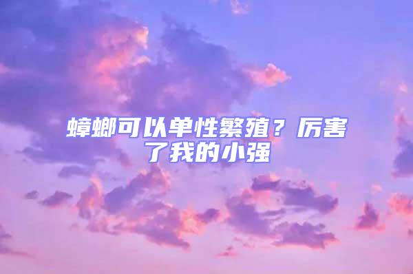 蟑螂可以單性繁殖？厲害了我的小強(qiáng)