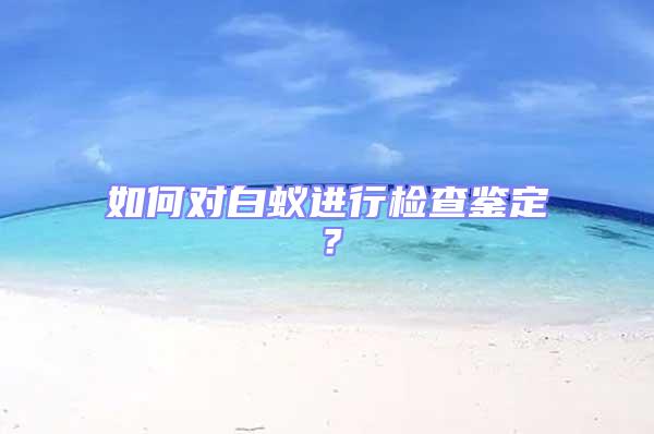 如何對白蟻進行檢查鑒定？