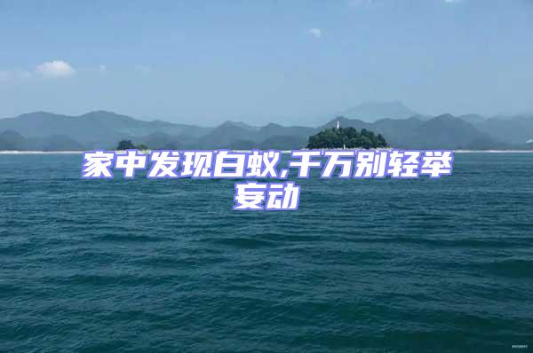 家中發(fā)現(xiàn)白蟻,千萬別輕舉妄動