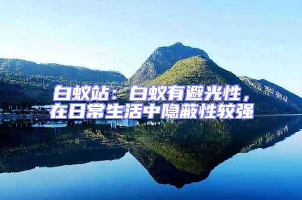白蟻站：白蟻有避光性，在日常生活中隱蔽性較強(qiáng)