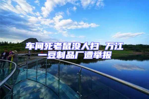 車間死老鼠沒人掃 萬江一豆制品廠遭舉報(bào)