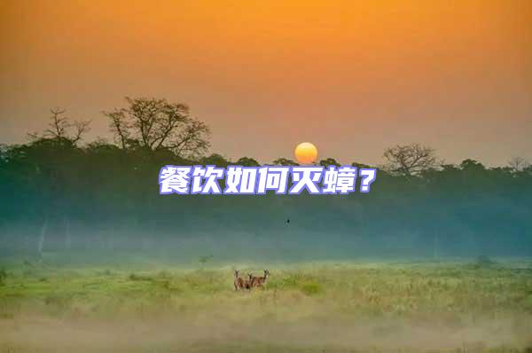 餐飲如何滅蟑？