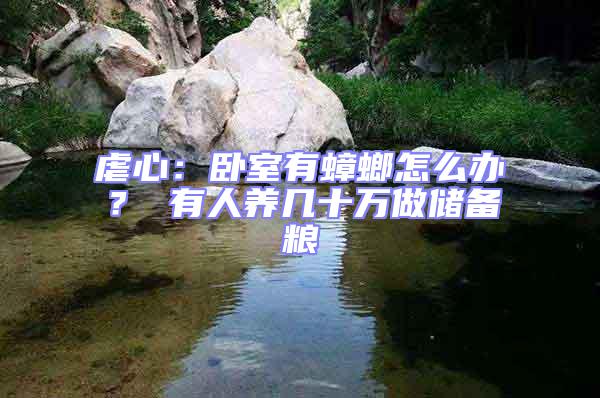 虐心：臥室有蟑螂怎么辦？ 有人養(yǎng)幾十萬做儲備糧