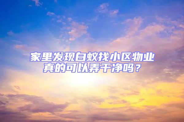 家里發(fā)現(xiàn)白蟻找小區(qū)物業(yè)真的可以弄干凈嗎？