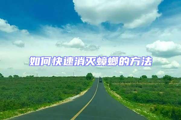 如何快速消滅蟑螂的方法