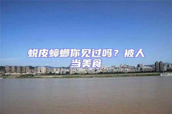 蛻皮蟑螂你見過嗎？被人當美食