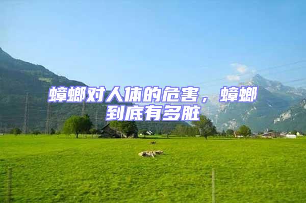 蟑螂對(duì)人體的危害，蟑螂到底有多臟