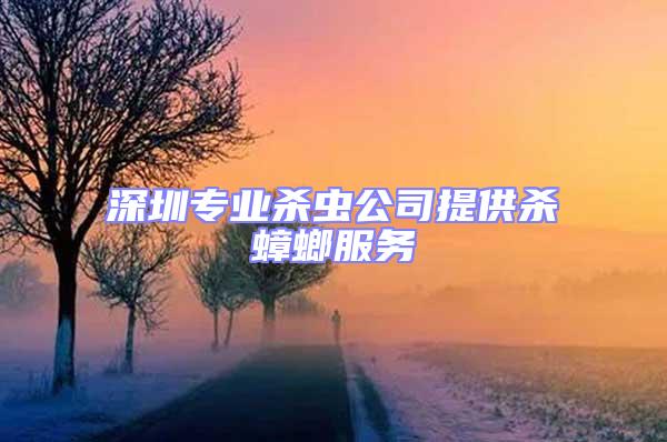 深圳專業(yè)殺蟲公司提供殺蟑螂服務(wù)