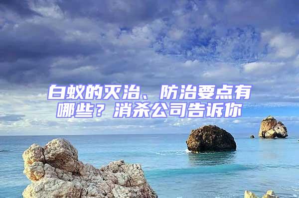 白蟻的滅治、防治要點(diǎn)有哪些？消殺公司告訴你
