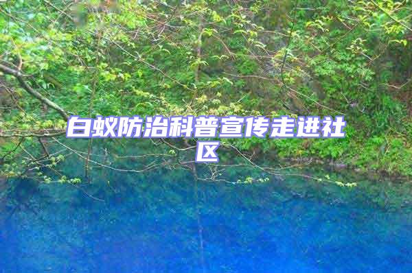 白蟻防治科普宣傳走進社區(qū)