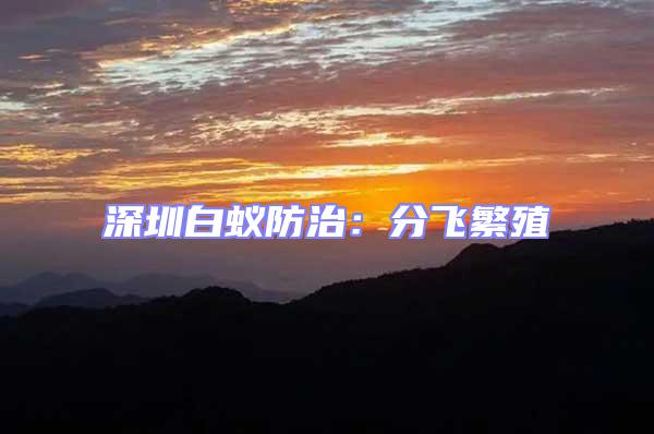 深圳白蟻防治：分飛繁殖