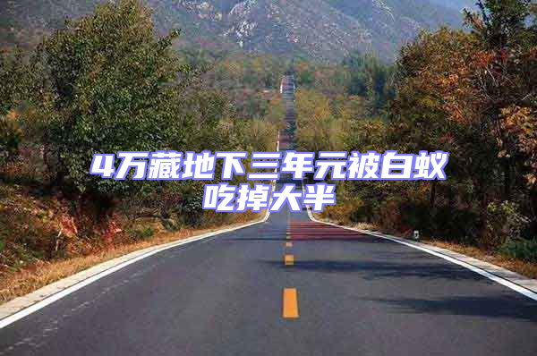 4萬藏地下三年元被白蟻吃掉大半
