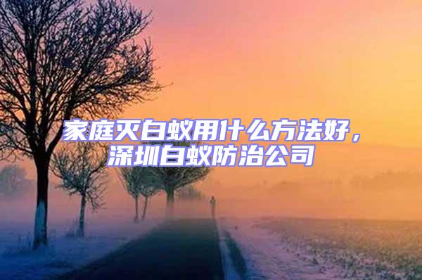 家庭滅白蟻用什么方法好，深圳白蟻防治公司