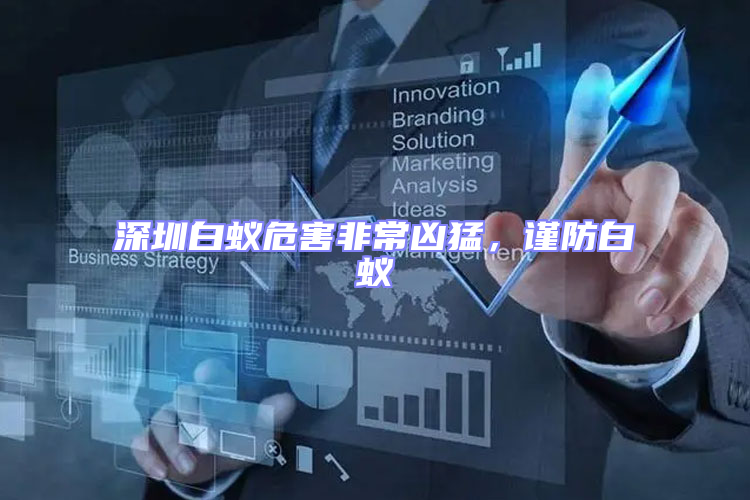 深圳白蟻危害非常兇猛，謹(jǐn)防白蟻