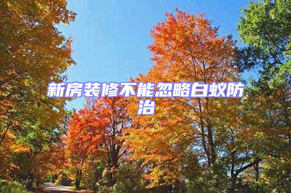 新房裝修不能忽略白蟻防治