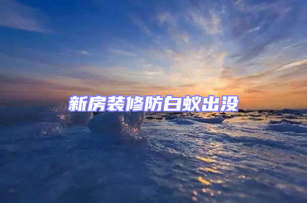 新房裝修防白蟻出沒(méi)