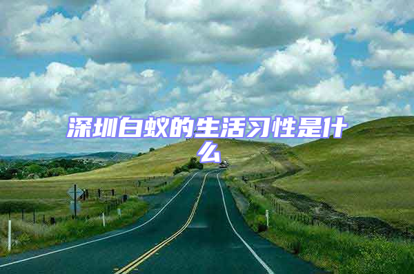 深圳白蟻的生活習(xí)性是什么