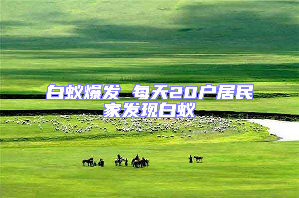 白蟻爆發(fā) 每天20戶(hù)居民家發(fā)現(xiàn)白蟻