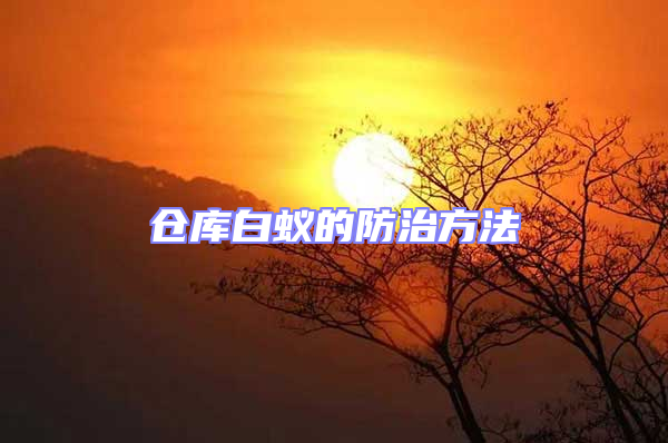 倉(cāng)庫(kù)白蟻的防治方法