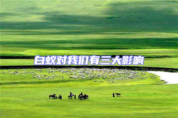 白蟻對(duì)我們有三大影響