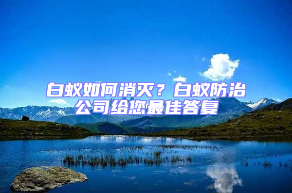白蟻如何消滅？白蟻防治公司給您最佳答復(fù)