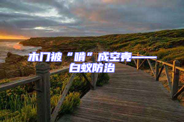木門被“啃”成空殼——白蟻防治
