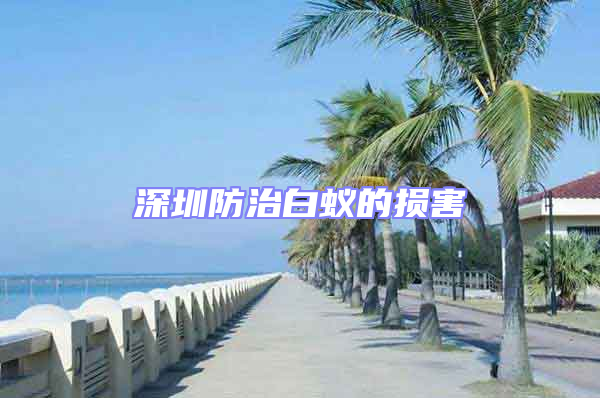 深圳防治白蟻的損害