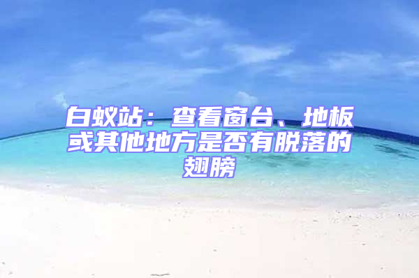 白蟻站：查看窗臺(tái)、地板或其他地方是否有脫落的翅膀