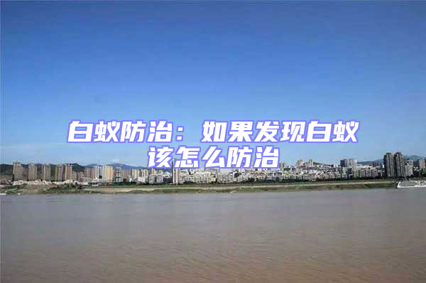 白蟻防治:如果發(fā)現(xiàn)白蟻該怎么防治