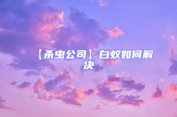 【殺蟲(chóng)公司】白蟻如何解決