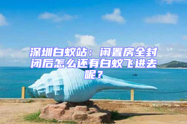 深圳白蟻站：閑置房全封閉后怎么還有白蟻飛進去呢？