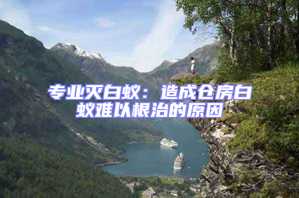 專業(yè)滅白蟻：造成倉房白蟻難以根治的原因