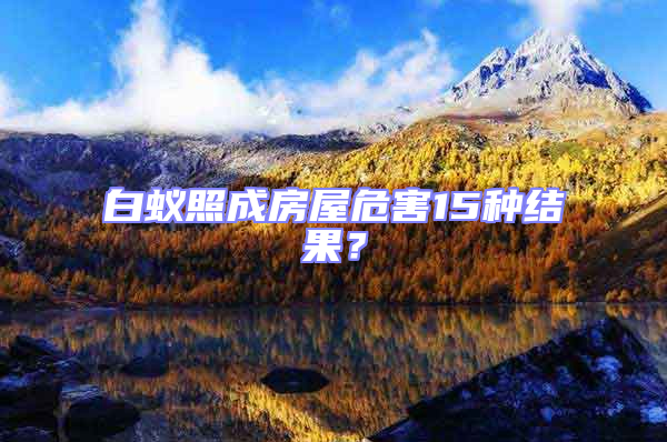 白蟻照成房屋危害15種結果？