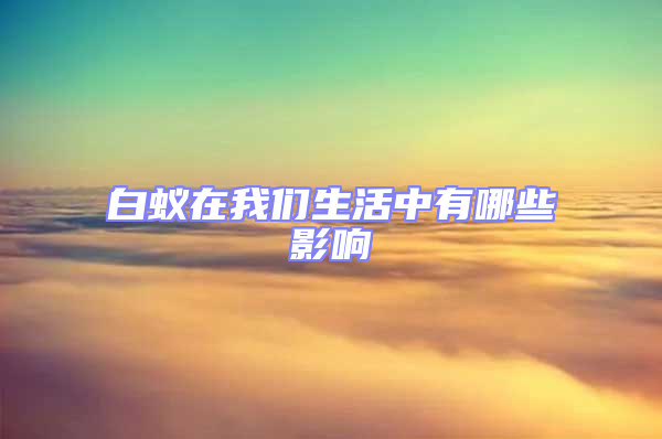 白蟻在我們生活中有哪些影響