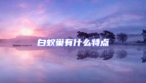 白蟻巢有什么特點(diǎn)