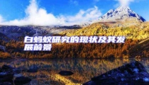 白螞蟻研究的現(xiàn)狀及其發(fā)展前景