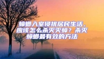 蟑螂入室侵擾居民生活，應(yīng)該怎么殺滅滅蟑？殺滅蟑螂最有效的方法