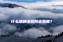 什么是螨蟲如何去除呢？