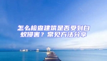 怎么檢查建筑是否受到白蟻侵害？常見(jiàn)方法分享