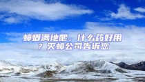 蟑螂滿地爬，什么藥好用？滅蟑公司告訴您