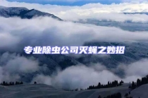 專業(yè)除蟲公司滅蠅之妙招