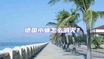 德國(guó)小蠊怎么消滅？