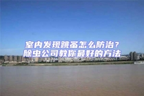 室內(nèi)發(fā)現(xiàn)跳蚤怎么防治？除蟲公司教你最好的方法