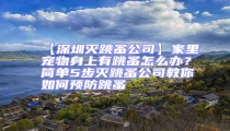 【深圳滅跳蚤公司】家里寵物身上有跳蚤怎么辦？簡單5步滅跳蚤公司教你如何預(yù)防跳蚤